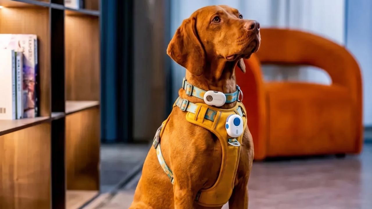 Diseño sin título (88).png