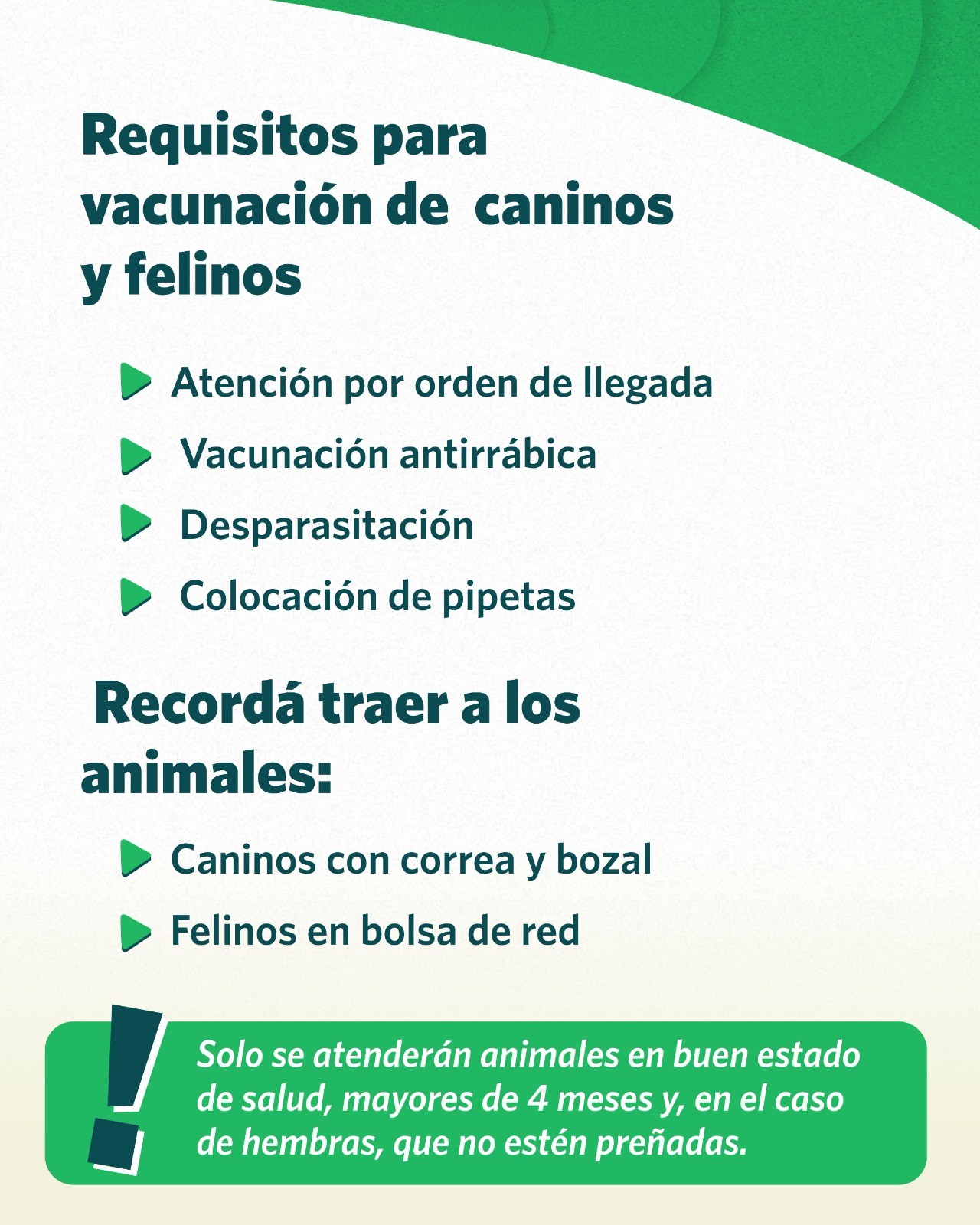 ECO-CANJE-4.jpeg
