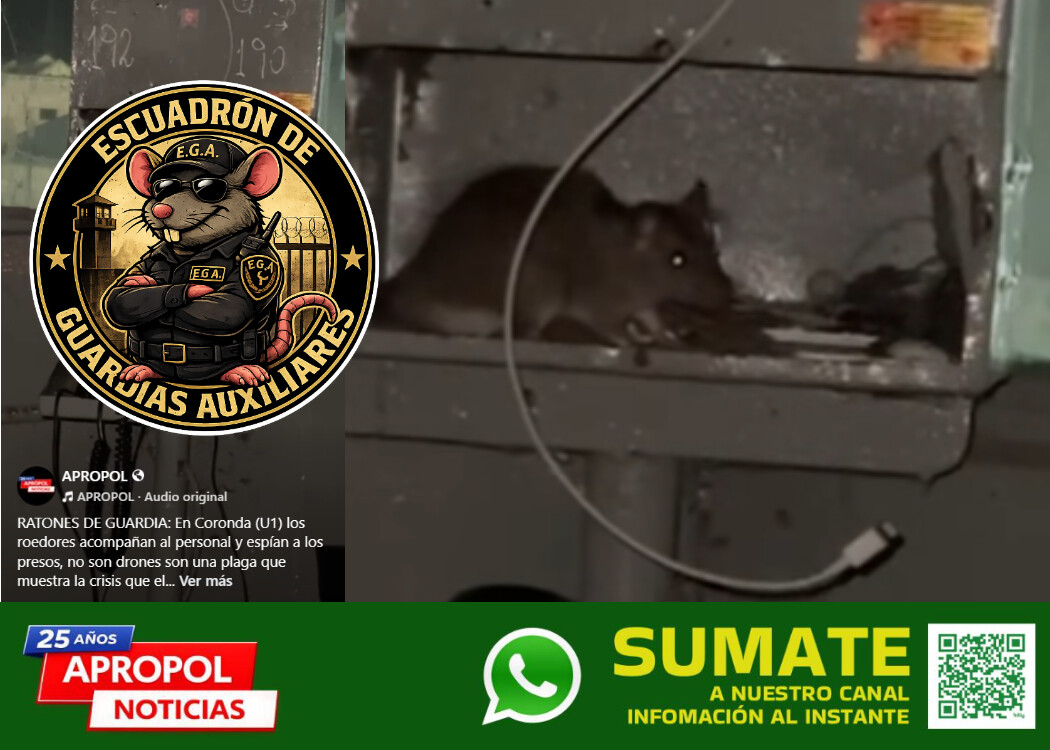 EGA_2026.jpg El “super ratón” de Coronda explotó en redes sociales