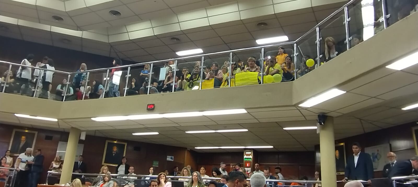 LEGISLATURA: crearon el Programa de atención integral de la Endometriosis