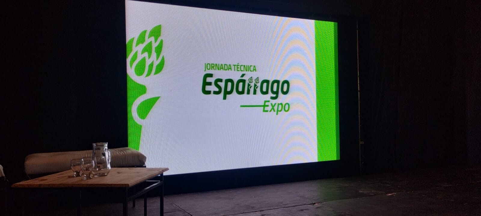 ESPARRAGOS-MUNISAGA-3.jpeg