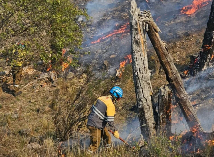 El-fuego-en-la-Quebrada-del-Condorito-es-el-unico-activo-y-se-espera-darle-fin-este-lunes-750x550-optimized.webp Córdoba – El fuego en la Quebrada del Condorito es el único activo y se espera darle fin este lunes