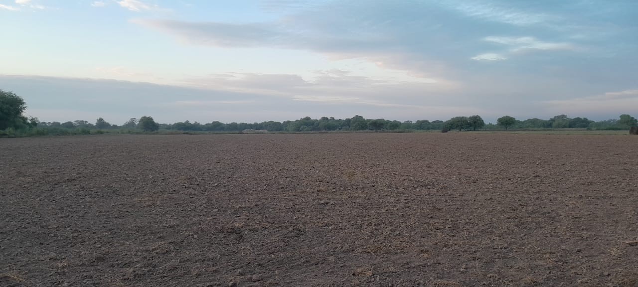 Mañana fresca por Colonia Dora