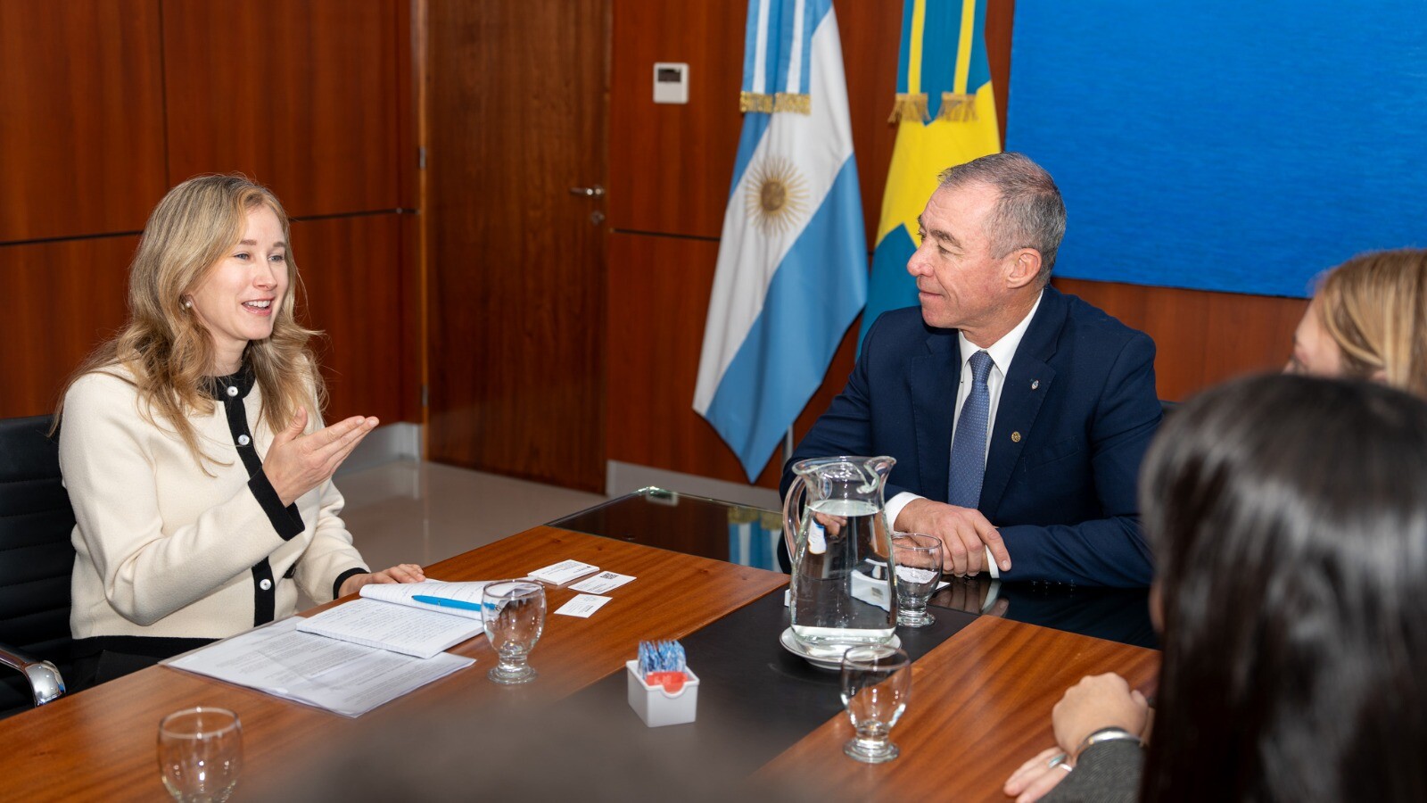 Embajada de Suecia-FABIAN-MARTIN-2.jpeg