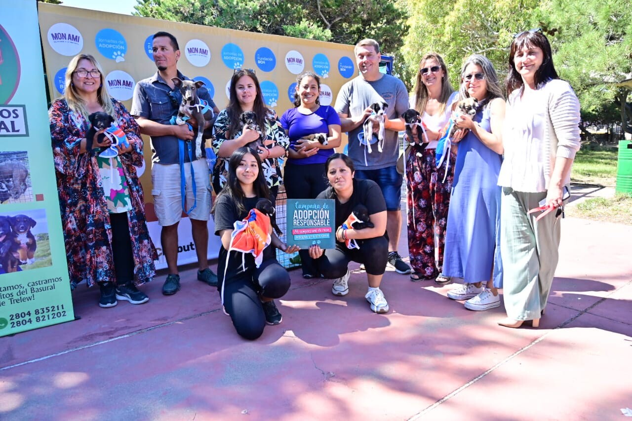 Exitosa jornada de castración masiva gratuita en Playa Unión (1).jpeg Exitosa jornada de castración masiva gratuita en Playa Unión (1).jpeg