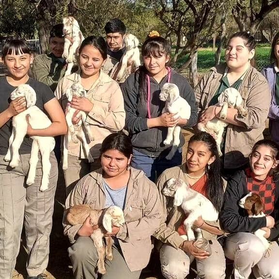 Exposición cabra criolla.jpg Nueva edición de la exposición de la cabra criolla