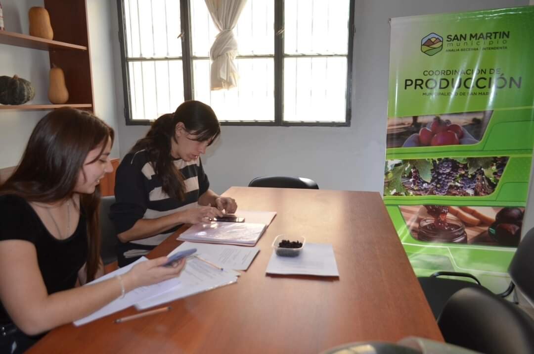 ¡Atención emprendedoras y artesanas de San Martin!