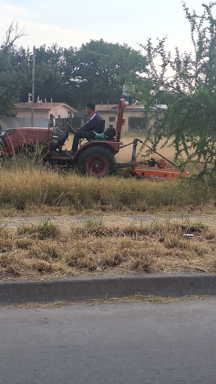 NUEVOS OPERATIVOS DE DESMALEZAMIENTO EN EL PASEO COLON