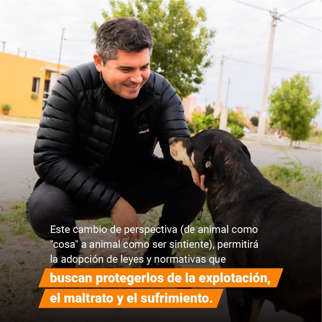 FB_IMG_1745930475271.jpg El gobernador Orrego envió a la Legislatura un proyecto para reconocer a los animales como seres sintientes