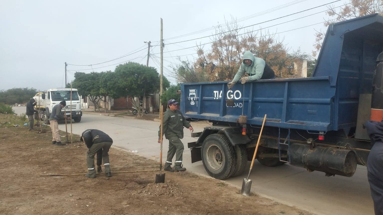 La Municipalidad continúa trabajando en la plantación de más de 3.500 árboles en el barrio Ejército Argentino