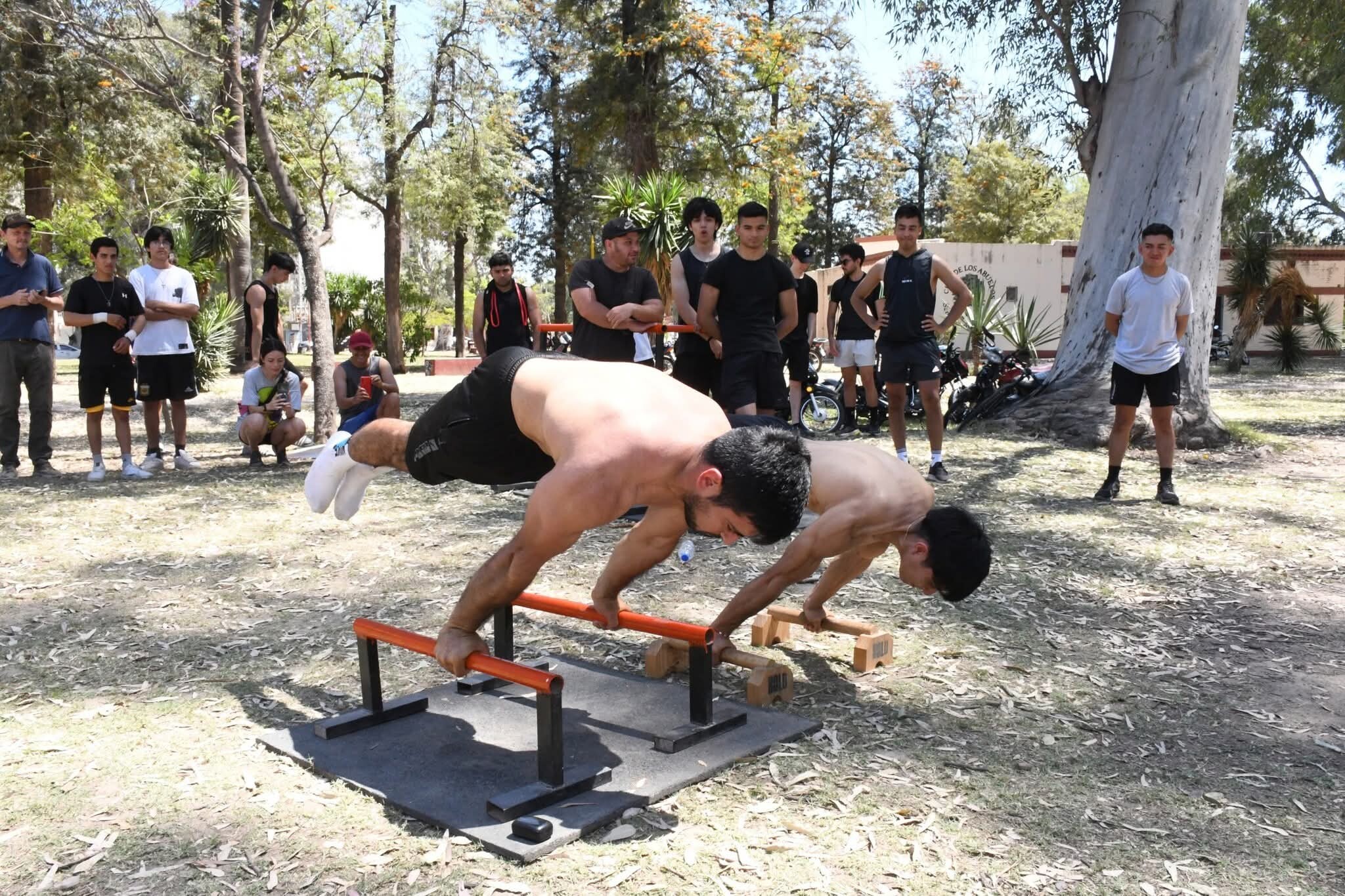 FB_IMG_1759631852208.jpg FB_IMG_1759631852208.jpg