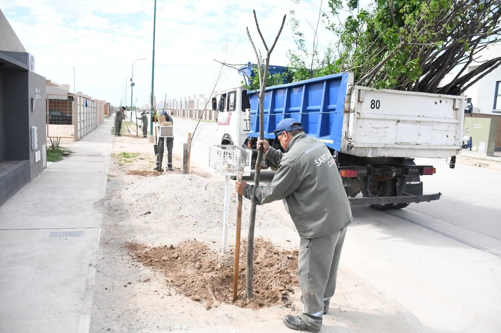 FB_IMG_1762398723511.jpg La Municipalidad con su programa inició la plantación de más de 1.500 árboles en el barrio Parque del Río III