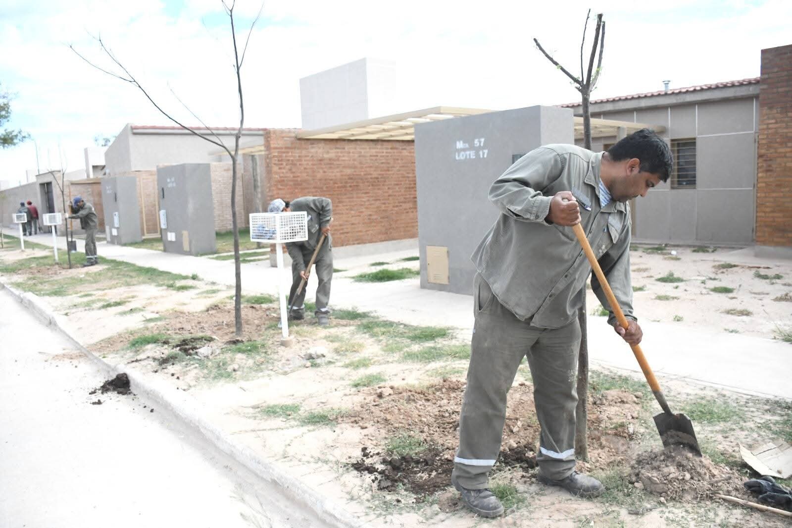 FB_IMG_1762398725929.jpg FB_IMG_1762398725929.jpg