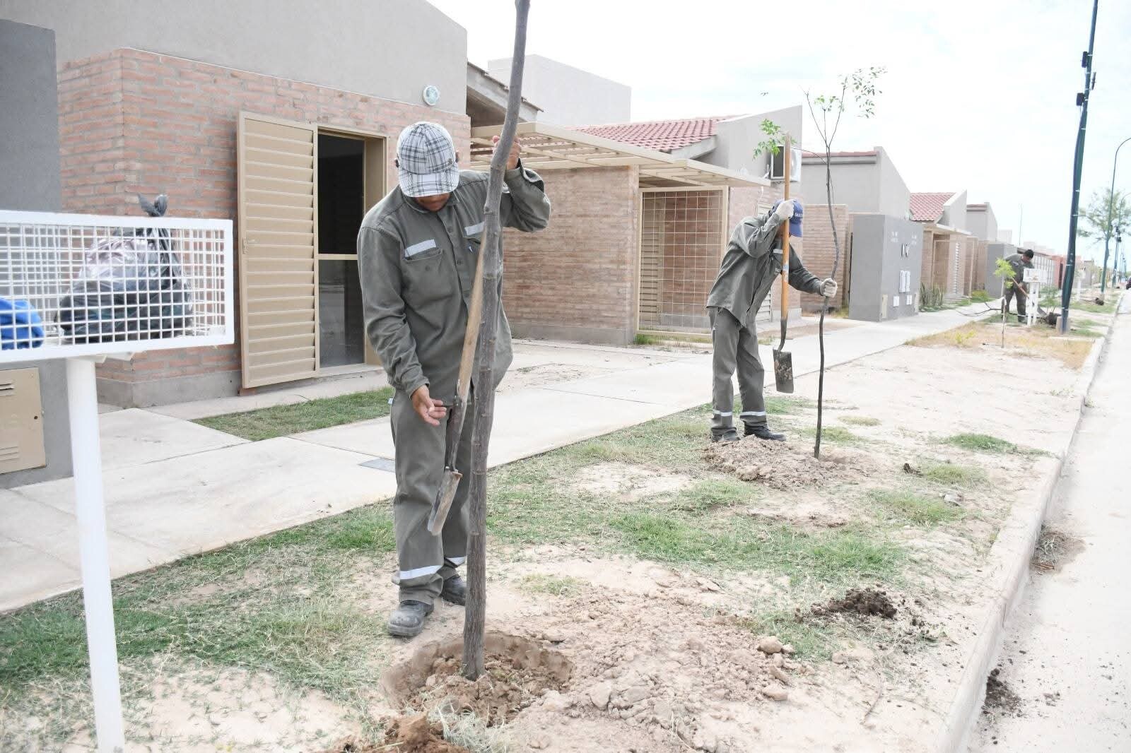 FB_IMG_1762398728656.jpg FB_IMG_1762398728656.jpg