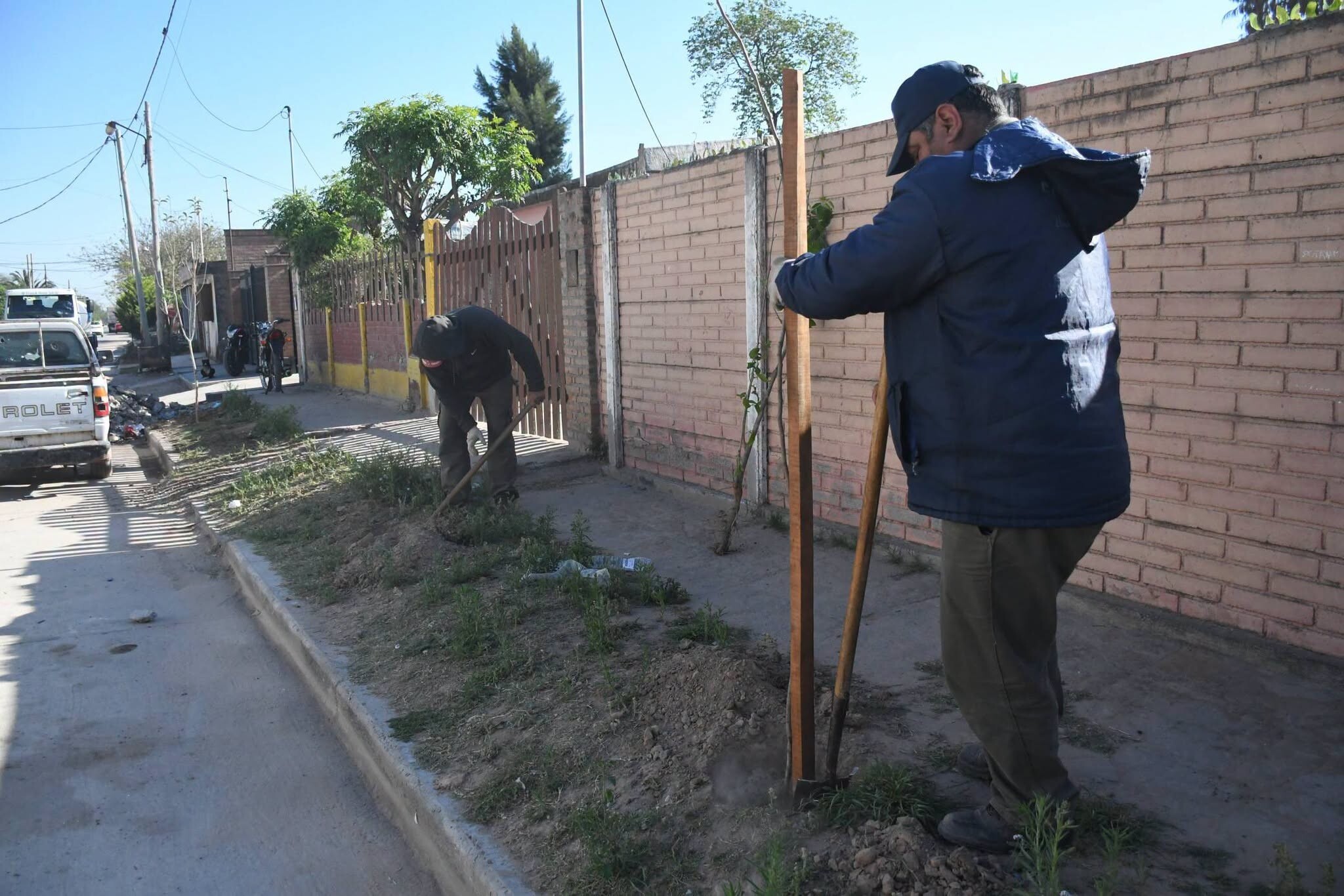La Municipalidad comenzó la plantación de más de 2.200 árboles en el barrio John Kennedy