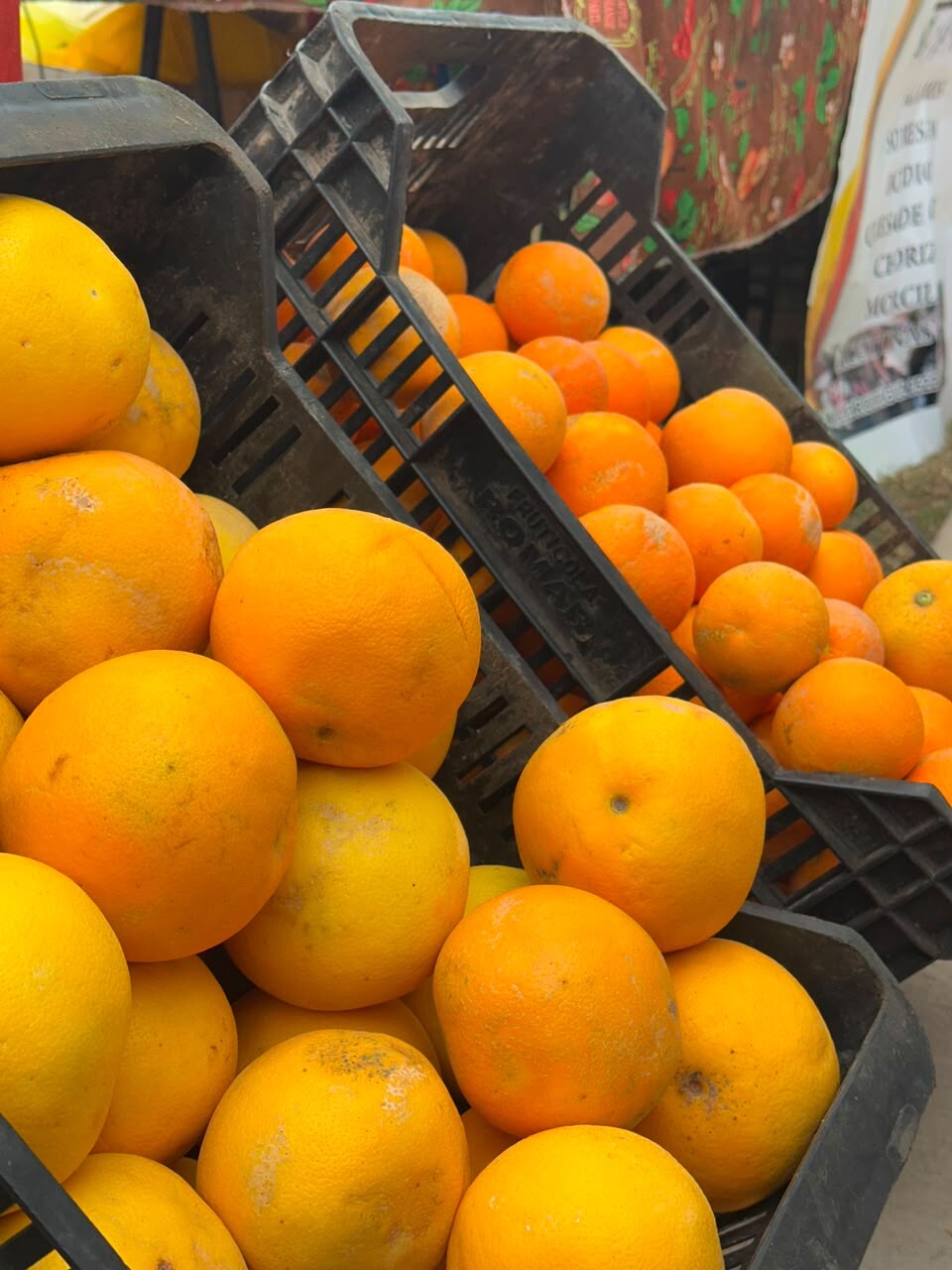 Segunda feria Agroproductiva en Chimbas