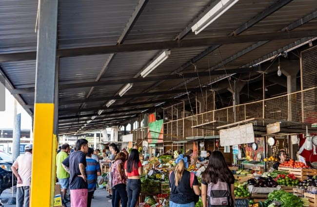 CIUDAD: Feria y Mercado de Abasto; precios actualizados de productos saludables