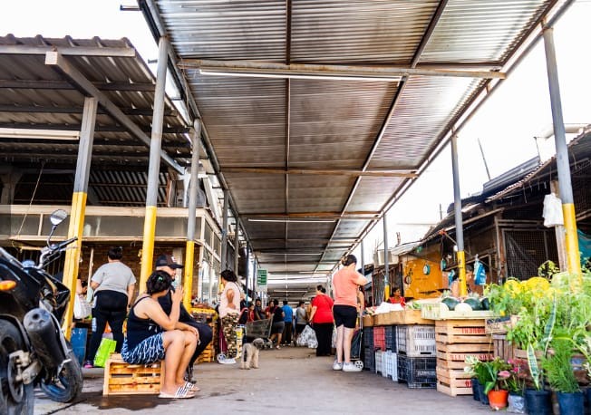 CIUDAD: Feria y Mercado de Abasto: buenos precios y la mejor calidad en un solo lugar