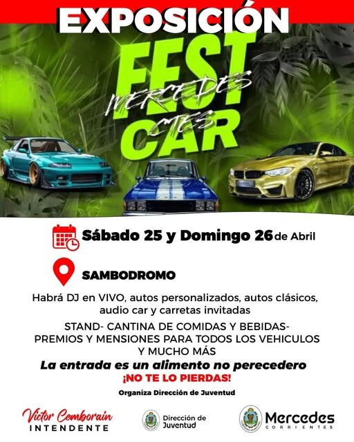 FEST CAR.jpg