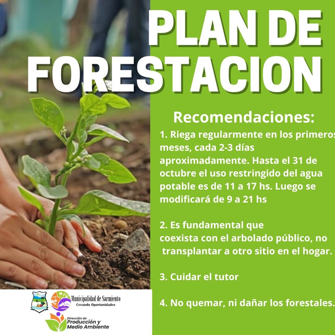 El municipio de Sarmiento comenzo con los trabajos de  forestación en todo el departamento