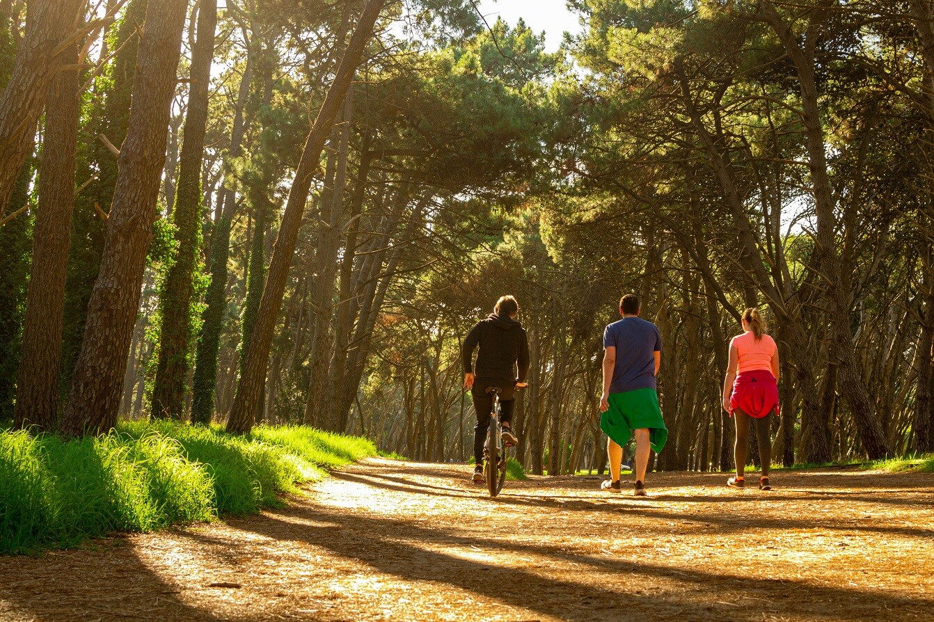 Necochea vivirá el “Fin de Semana Patrio” con propuestas para toda la familia