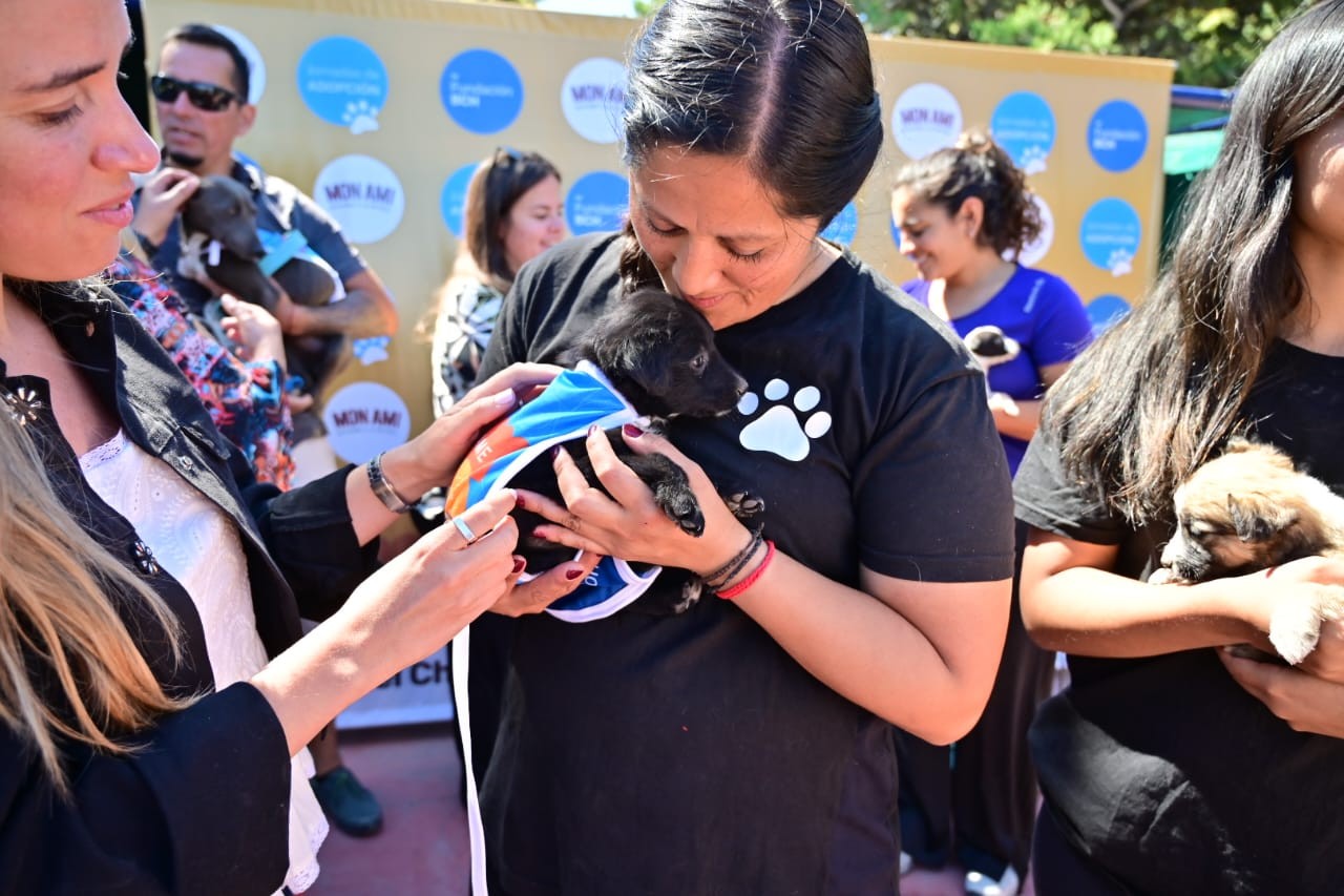 Rawson: El día del animal se celebra con una jornada de vacunación y adopción