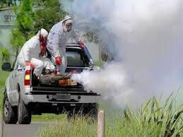 FUMIGA- MOSQUITOS-SF-01.jpg