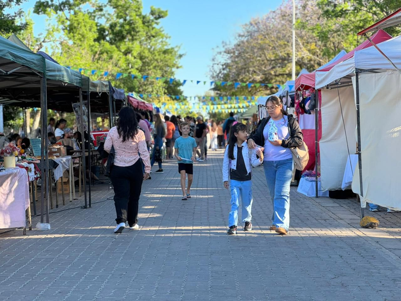 Feria Ocampense.png La Feria Ocampense Del Día De La Madre Reunió A Más De 70 Emprendedores Y Artesanos