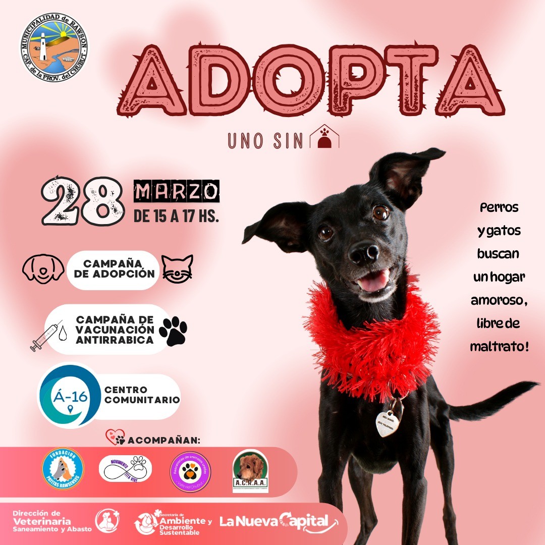 Flyer Campaña de Adopción Responsable y Vacunación Antirrábica en el Área 16.jpeg Veterinaria Municipal realizará una nueva Campaña de Adopción Responsable y Vacunación Antirrábica en el Área 16