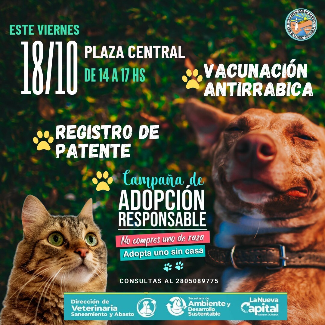 Veterinaria Municipal realizará Campaña de Adopción Responsable en la Plaza Central Rawson