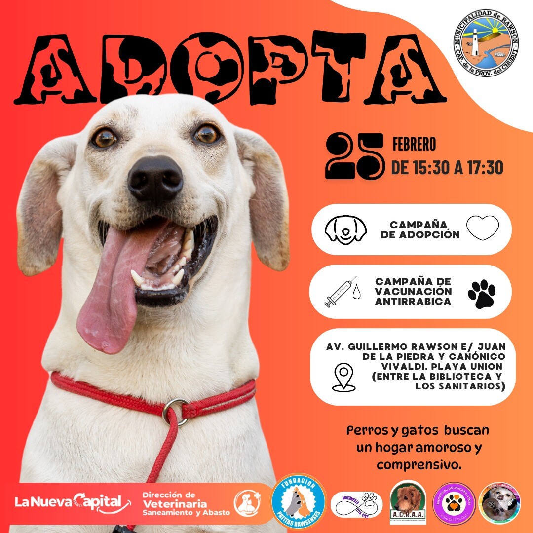 Flyer Campaña de Adopción y Vacunación.jpeg Llega una nueva Campaña Municipal de Adopción Responsable y Vacunación Antirrábica a Playa Unión
