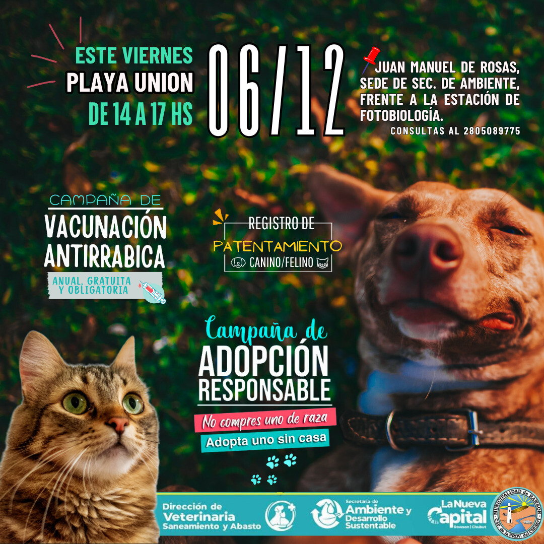 Veterinaria Municipal llega este viernes a Playa Unión