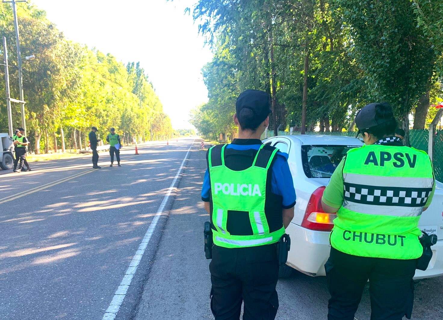 Foto 1 - APSV 3 al 5 enero 2025.jpeg Verano Seguro: Provincia controló cerca de 10.000 vehículos y retiró a 55 conductores alcoholizados de la vía pública