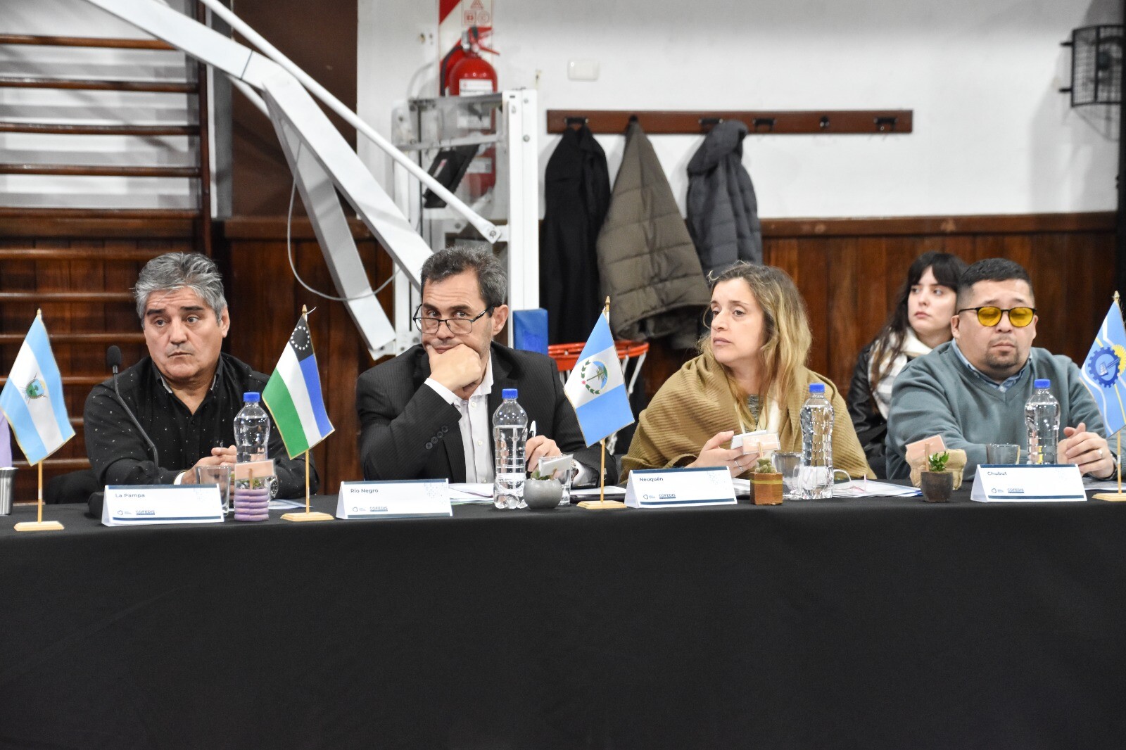 Foto 2 - Chubut consejo federal de discapacidad.jpeg Foto 2 - Chubut consejo federal de discapacidad.jpeg