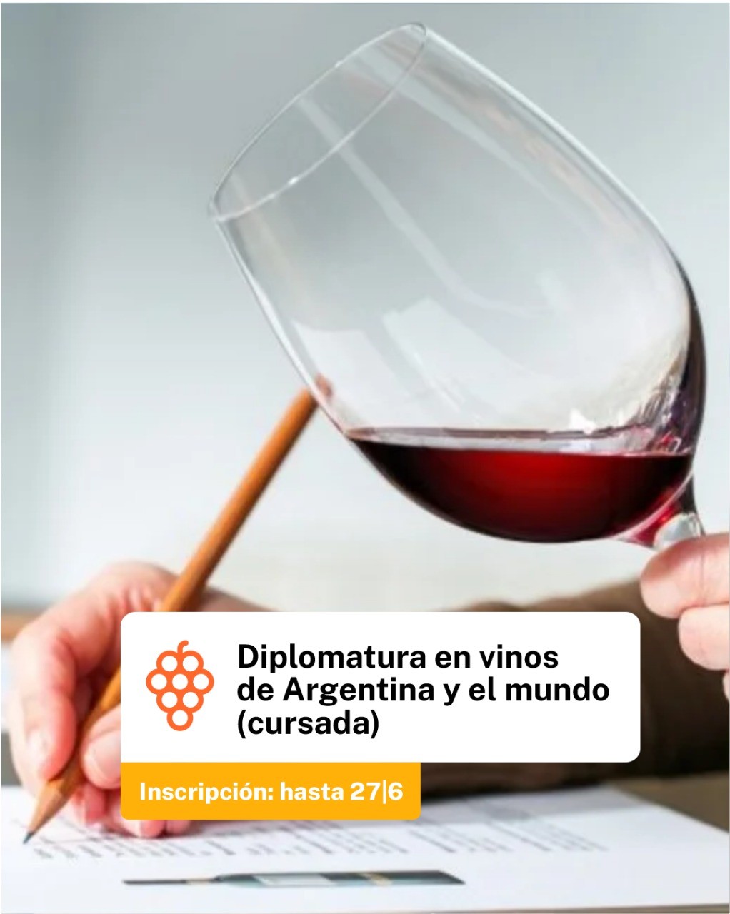 Provincia invita a participar en los programas de formación vitivinícola del CFI
