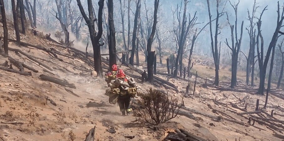 Provincia profundiza trabajos para controlar los incendios iniciados en el Parque “Los Alerces” y en la zona de Trevelin