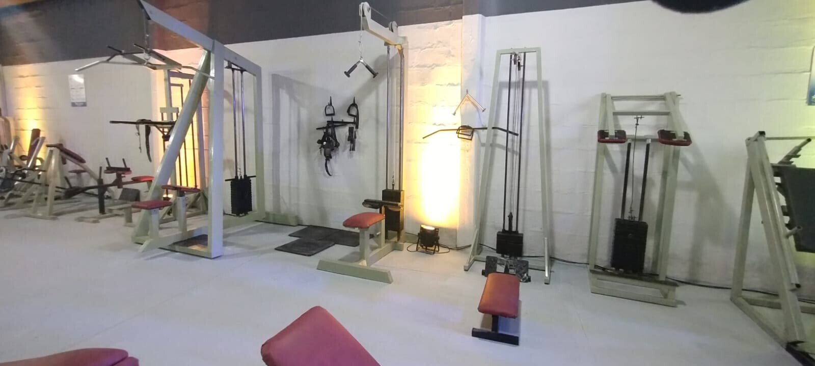 GIMNASIO-BANEGA-6.jpeg