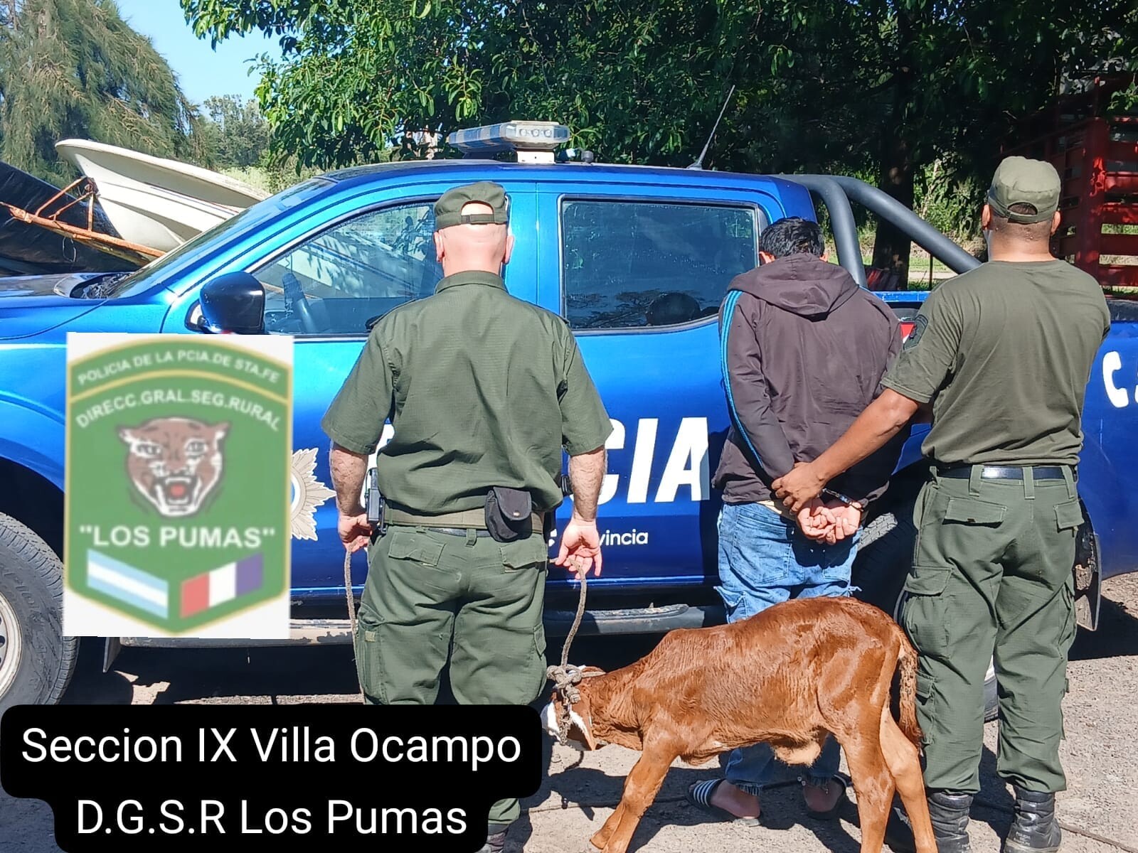 «Los Pumas» Mediante Requisa Domiciliaria Dieron Con Un Ternero Producto de un Delito