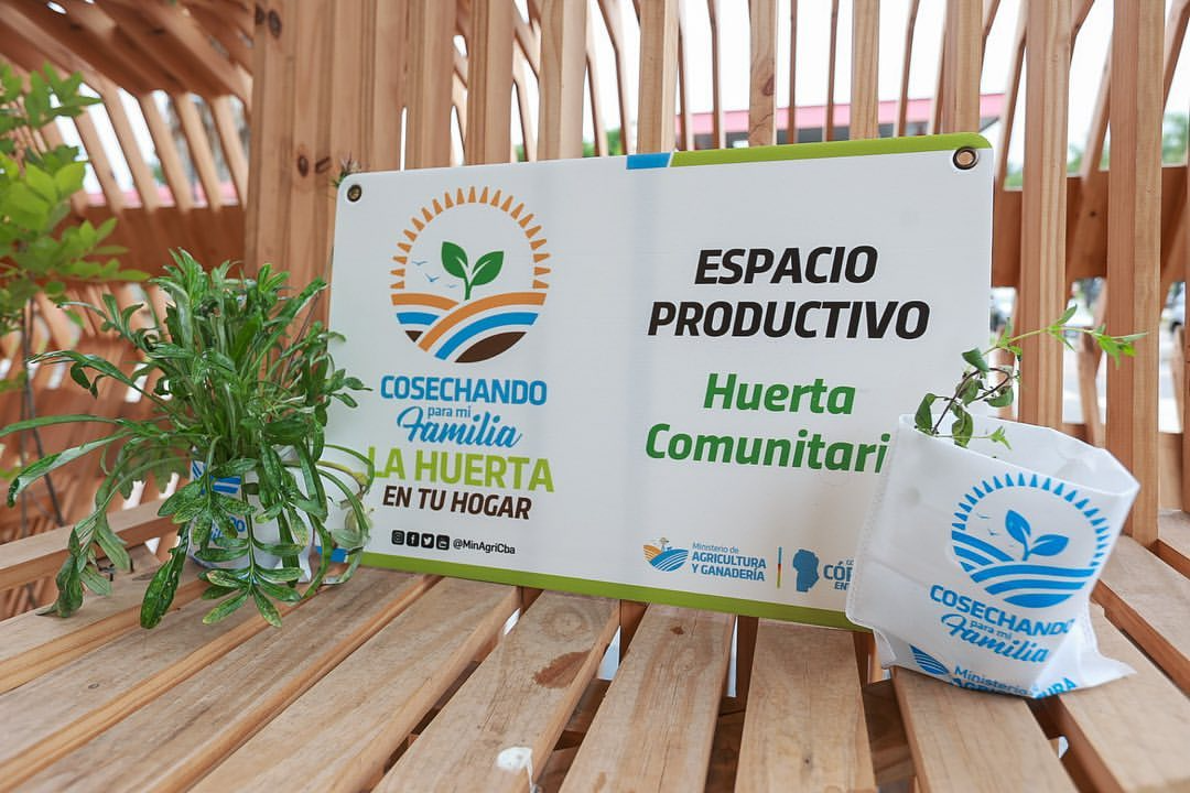 La campaña «Huerta en tu Hogar 2025» abrió su inscripción para familias cordobesas