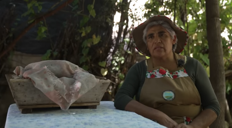 IGLESIA: Rafaela, mujer de campo y campeona de la vida