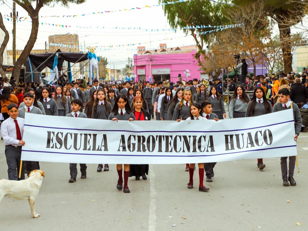 IMAGEN-5.jpeg IMAGEN-5.jpeg