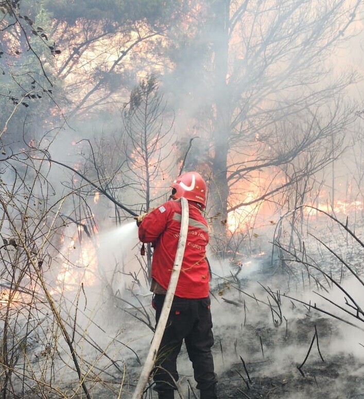 Continua el despliegue de recursos humanos y materiales para controlar el incendio en la zona de Epuyén