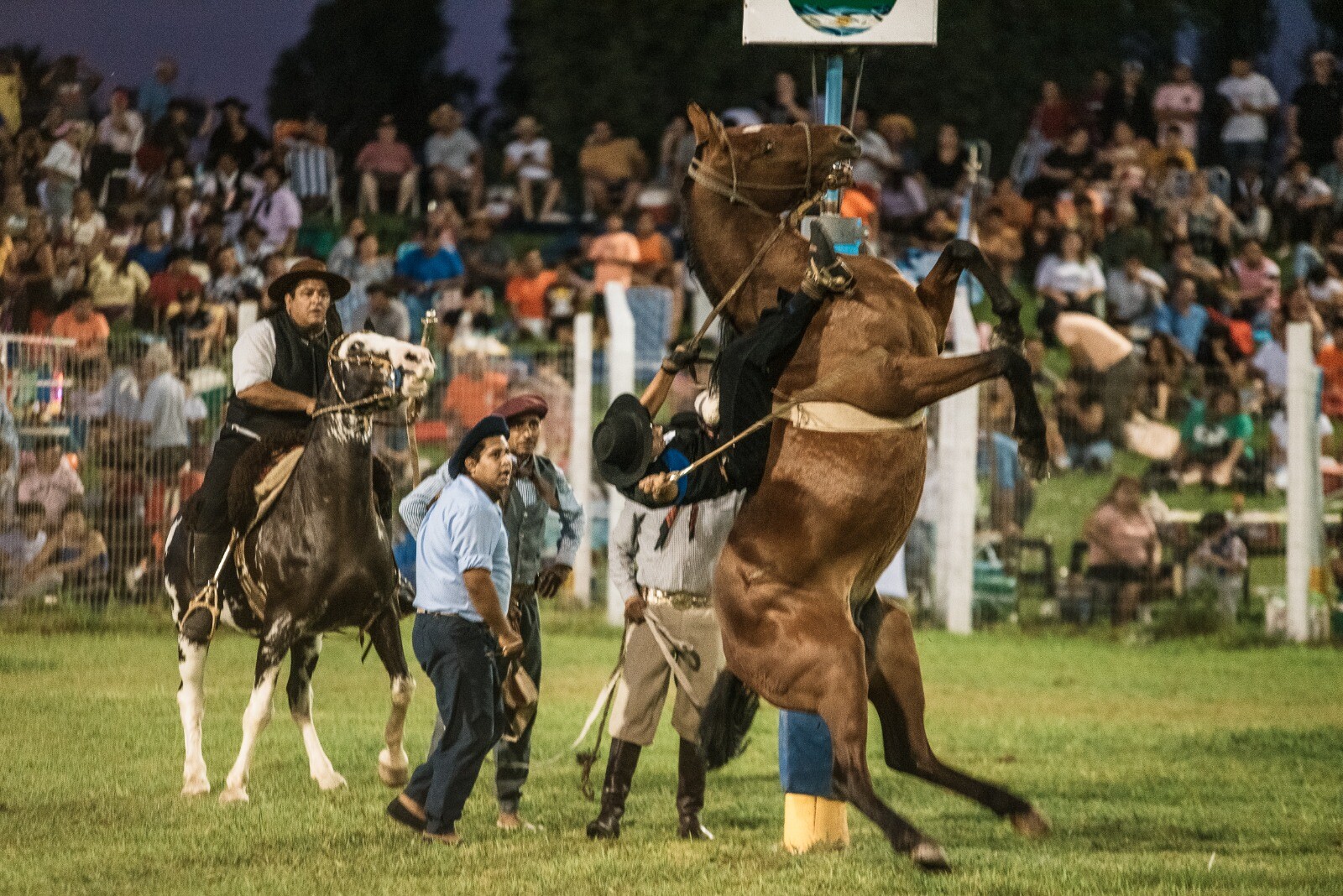 Comienza la venta de entradas de la XXIII Fiesta Nacional de las Destrezas Criollas y el Folklore