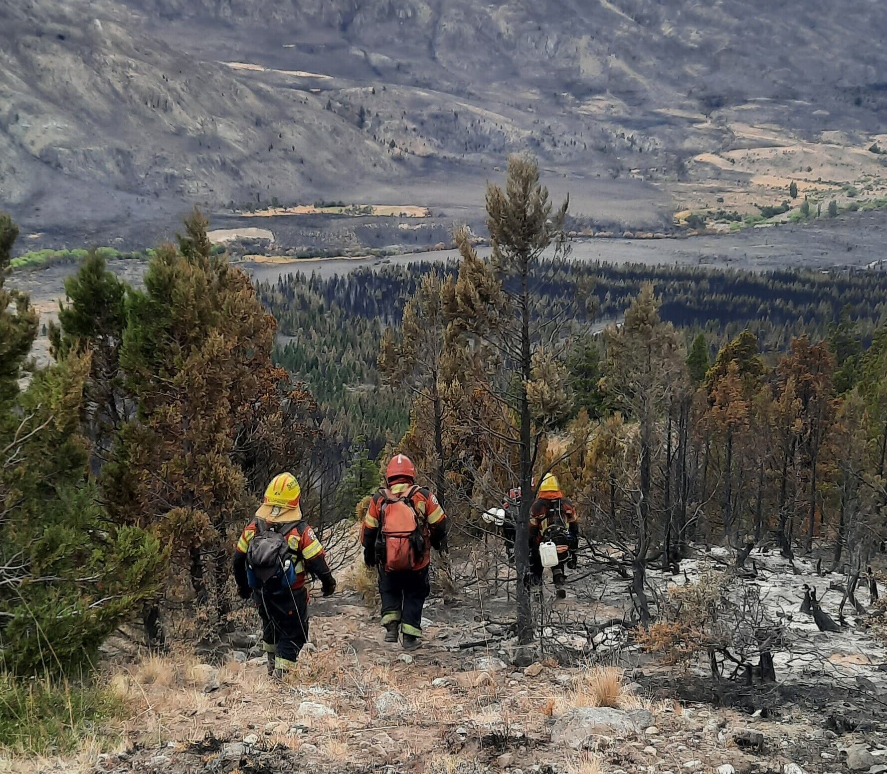 Luego de un fuerte despliegue de brigadistas y medios aéreos, se logró contener el incendio forestal iniciado en la zona de Trevelin