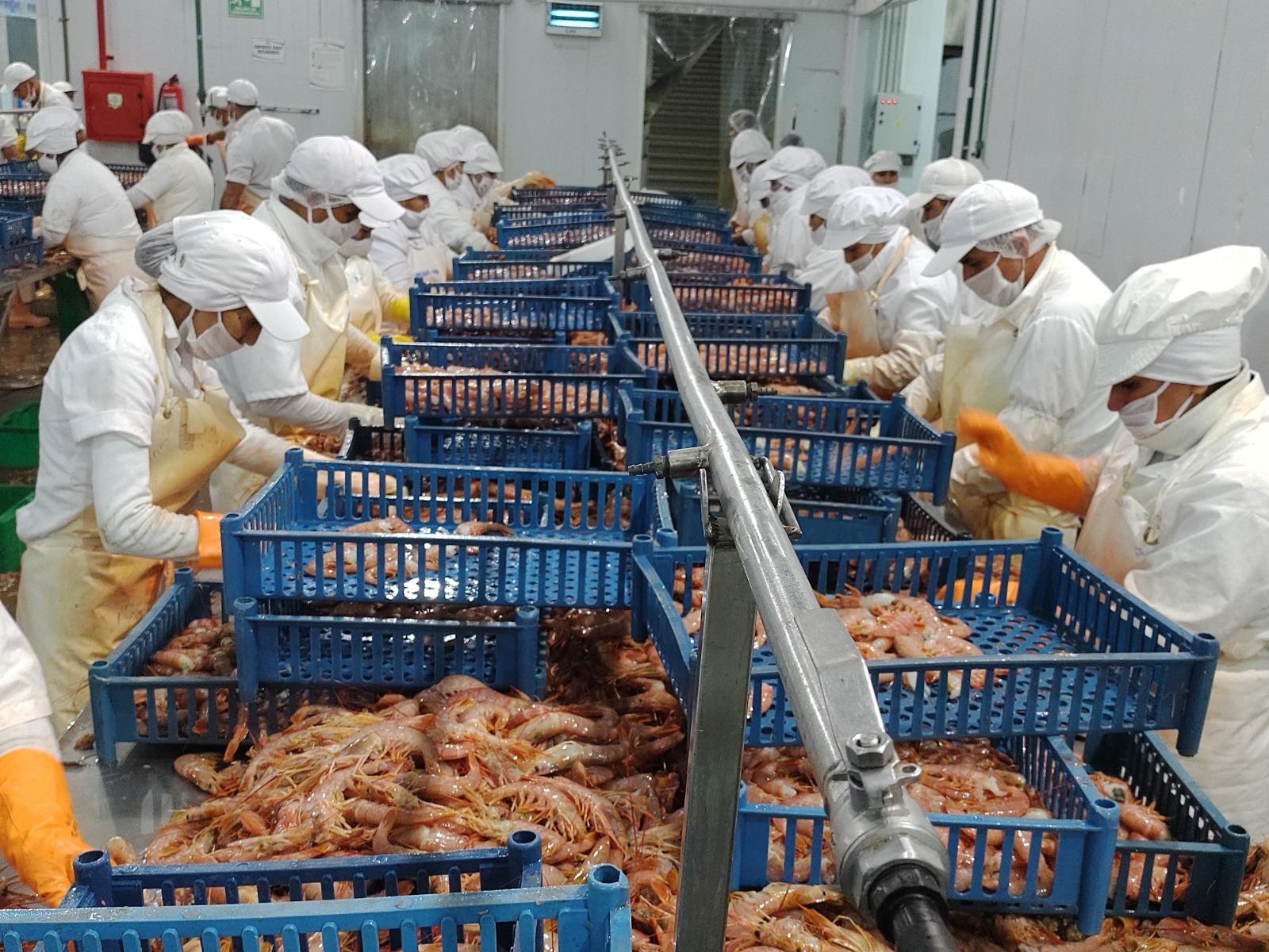 Torres destacó la certificación del langostino con el sello MSC