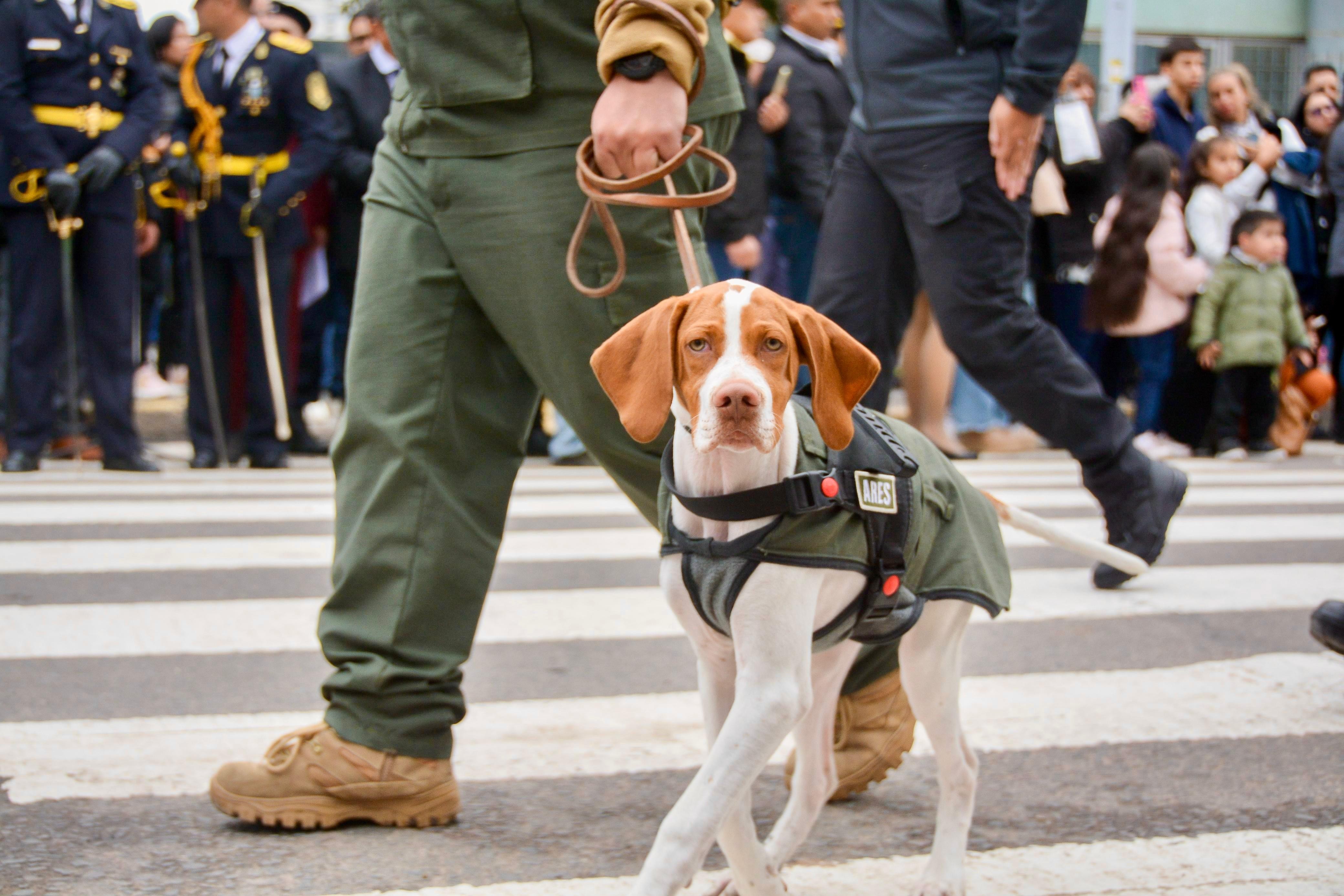 IMG-20250615-WA0049.jpg IMG-20250615-WA0049.jpg