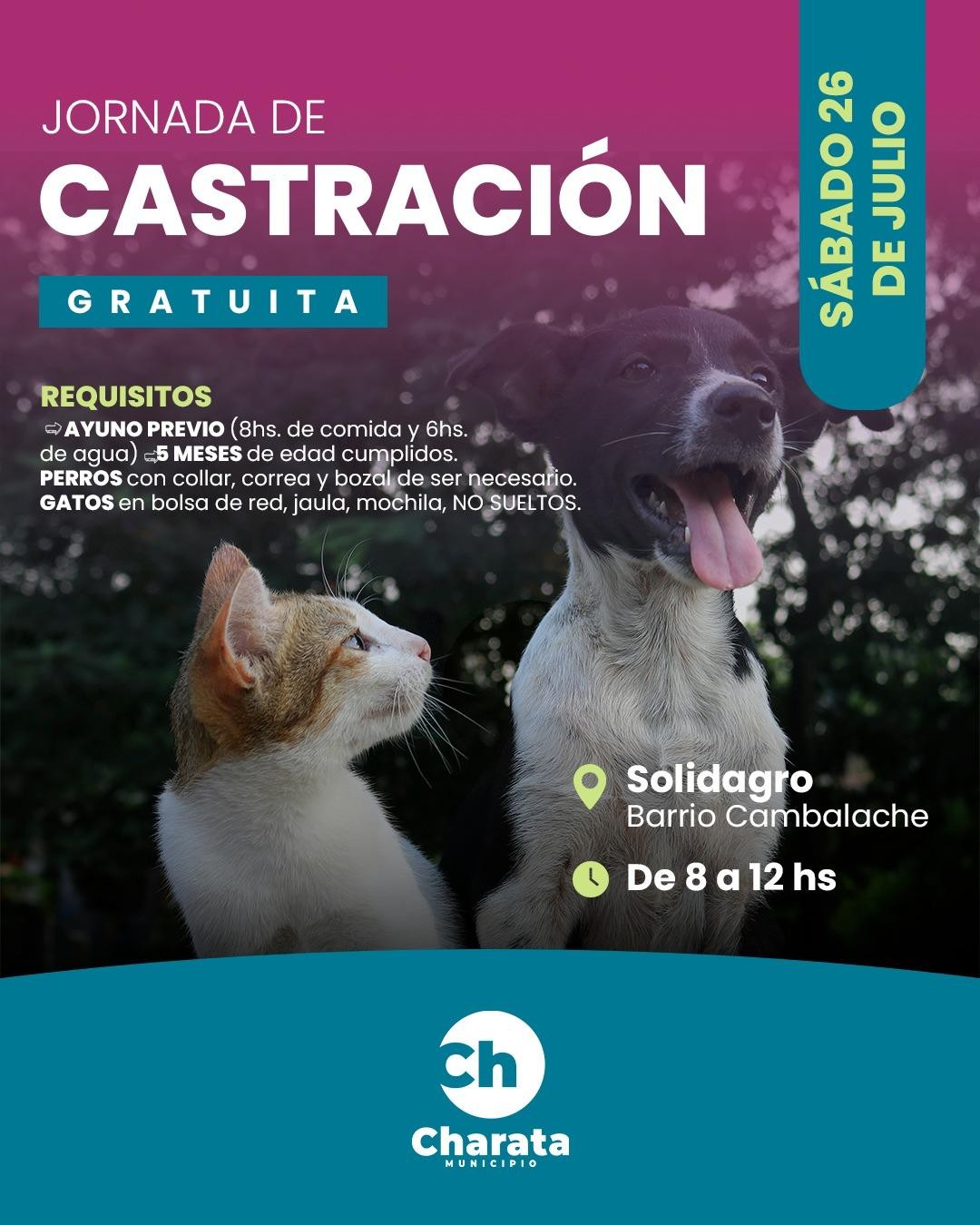 MUNICIPIO DE CHARATA: 26 DE JULIO, JORNADA DE CASTRACIÓN GRATUITA