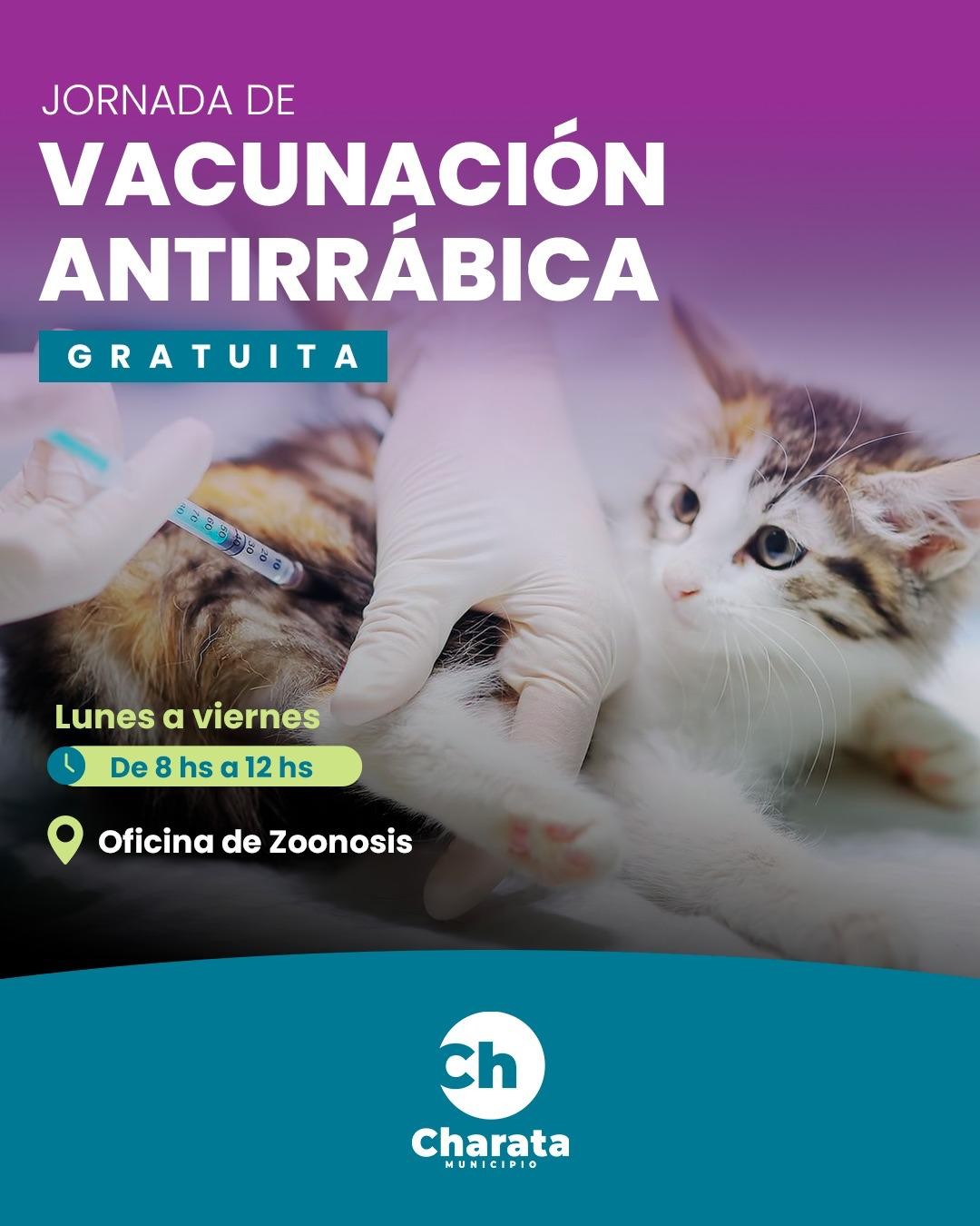 MUNICIPIO DE CHARATA: VACUNACIÓN ANTIRRÁBICA GRATUITA.