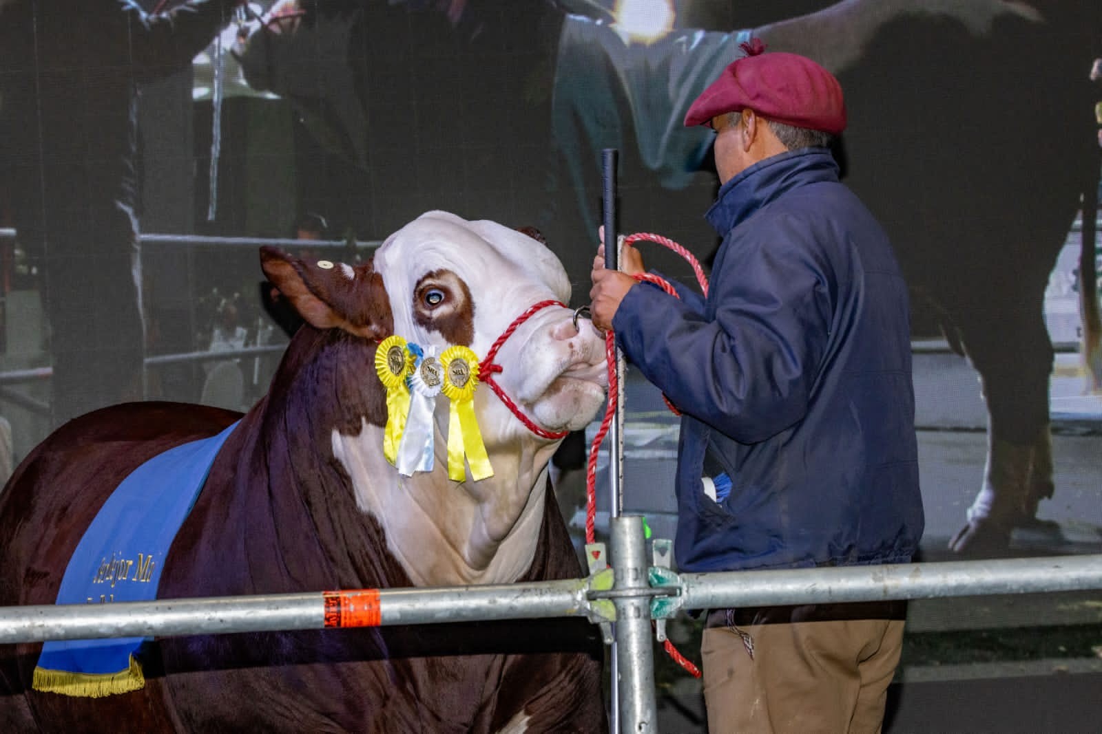 INFO RURAL – LA NOCHE BRAFORD EN PALERMO 2025.