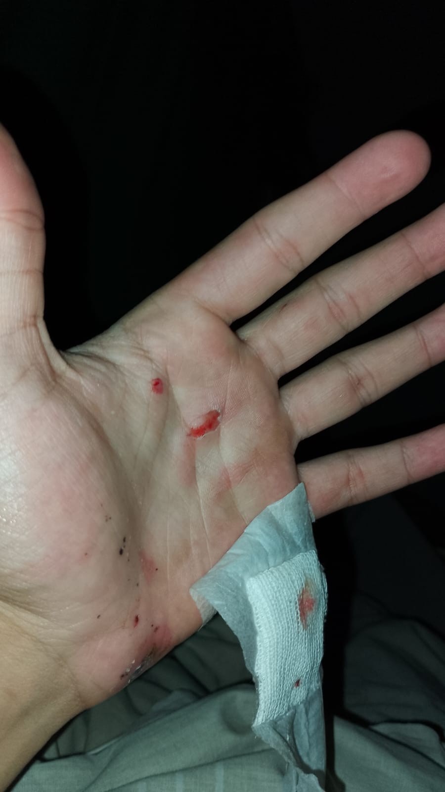 IMG-20250826-WA0052.jpg IMG-20250826-WA0052.jpg